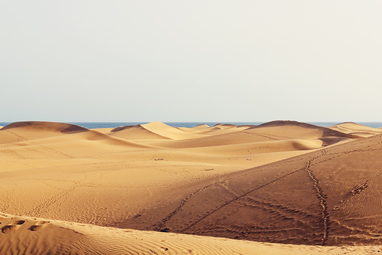 dunes gran canaria sand free photo
