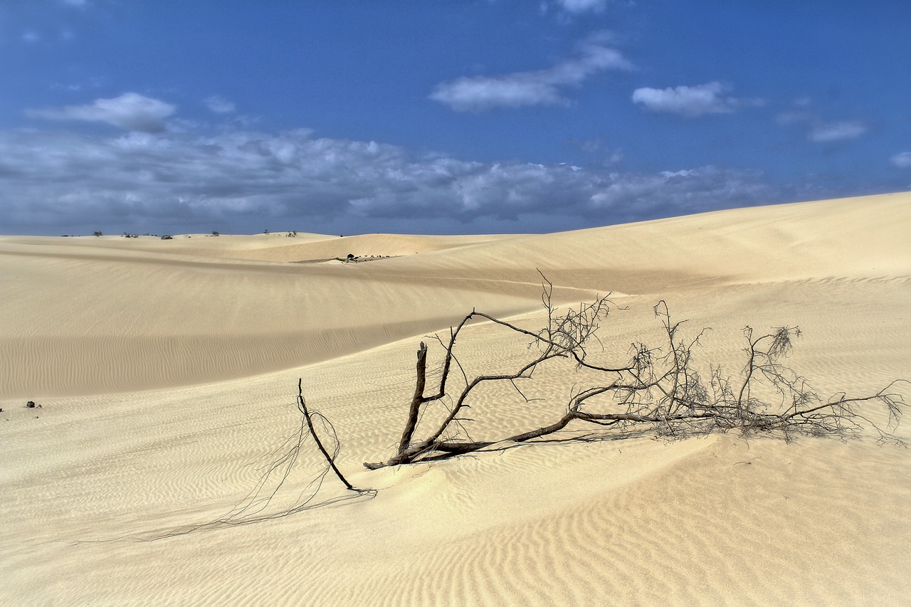 dunes sand sun free photo