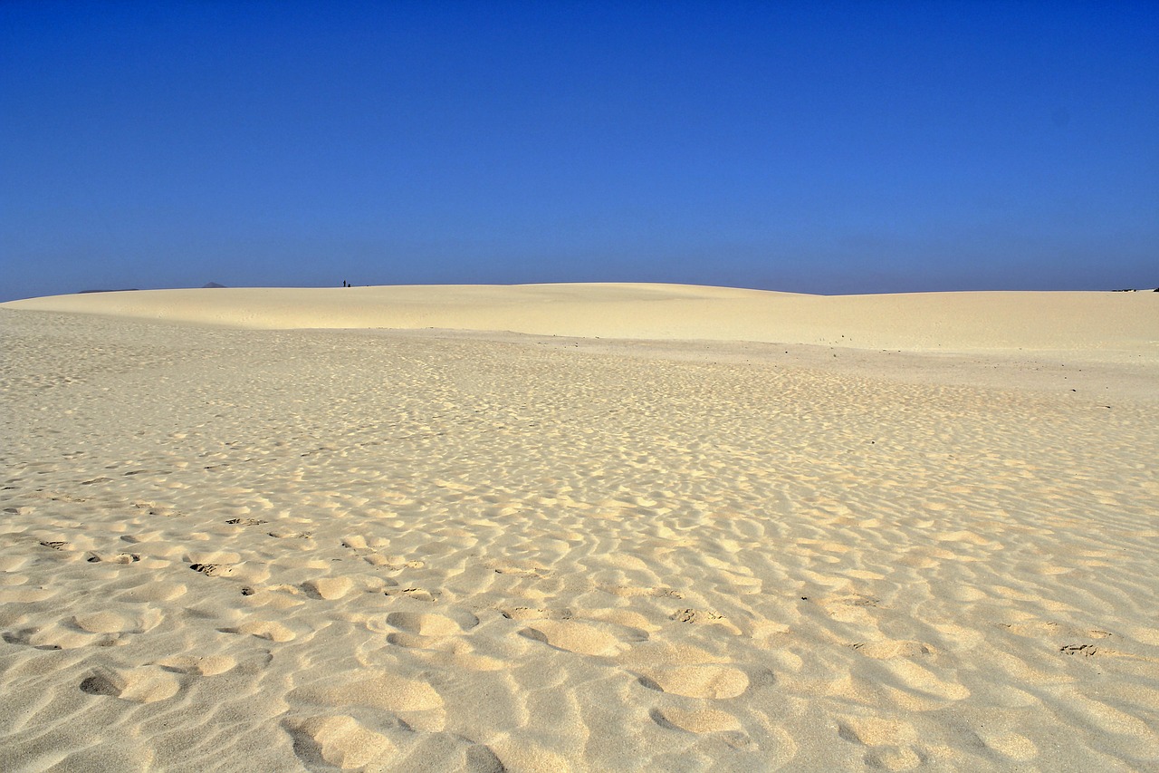 dunes sand ocean free photo