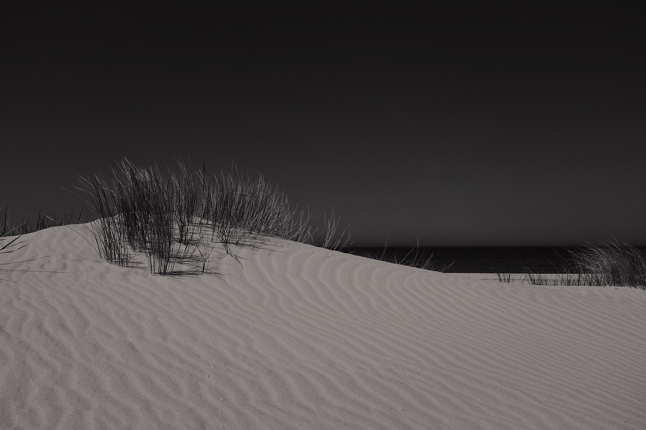 dunes grass night free photo