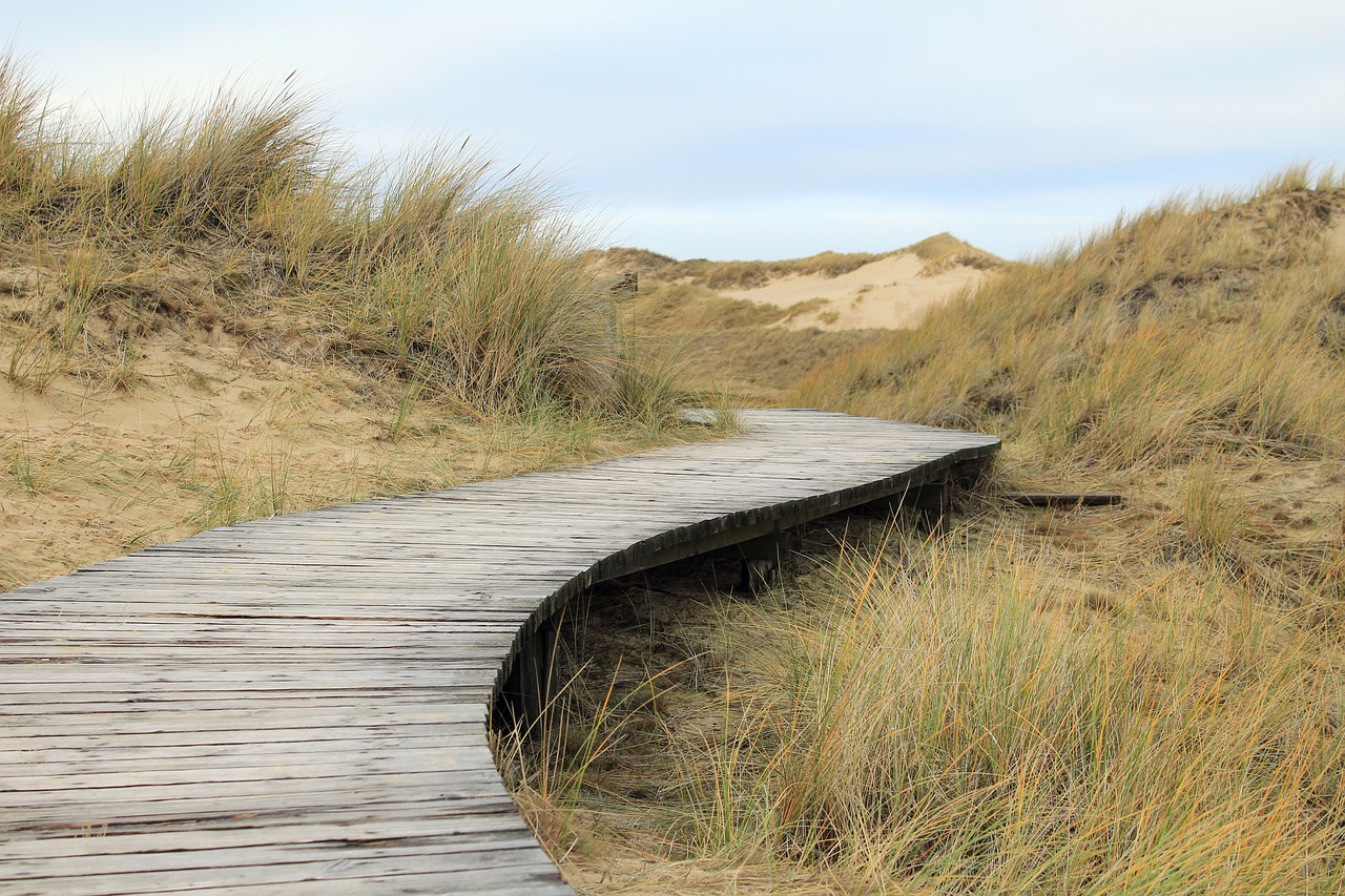 dunes boardwalk amrum free photo