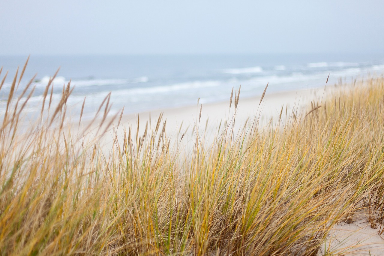 dunes sea baltic sea free photo