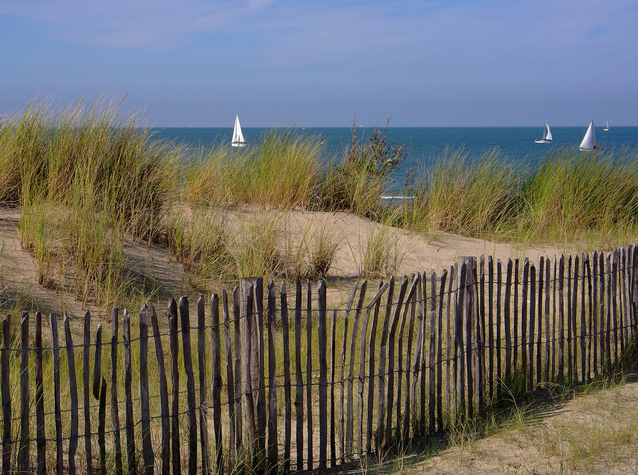 dunes sand beach free photo