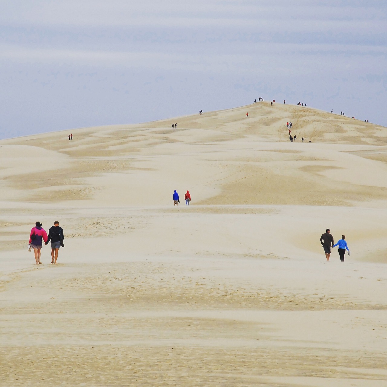 dunes arcachon france free photo