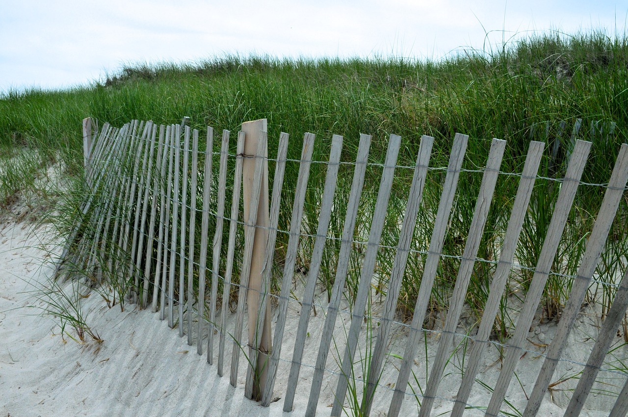 dunes sand beach free photo