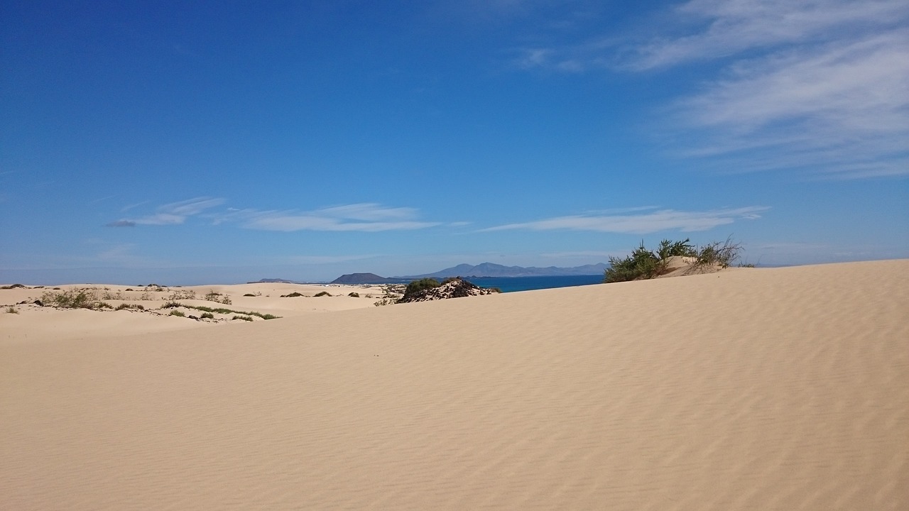 dunes sand corralejo free photo