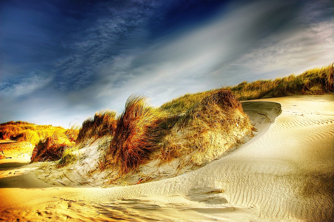 dunes denmark north sea free photo