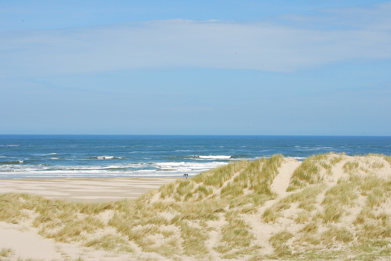 dunes coast beach free photo