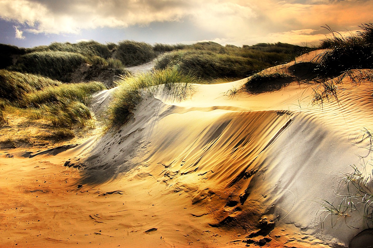 dunes north sea beach free photo