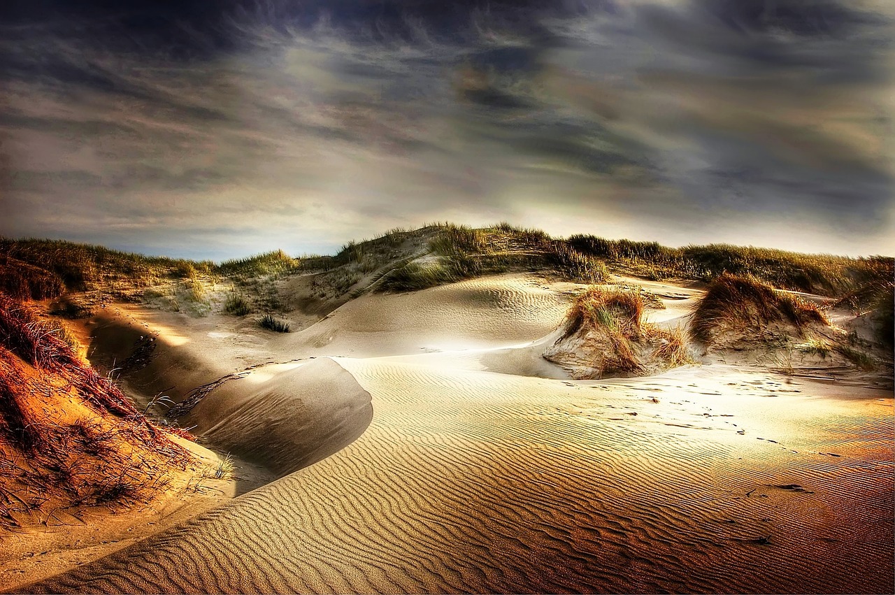 dunes beach sand free photo