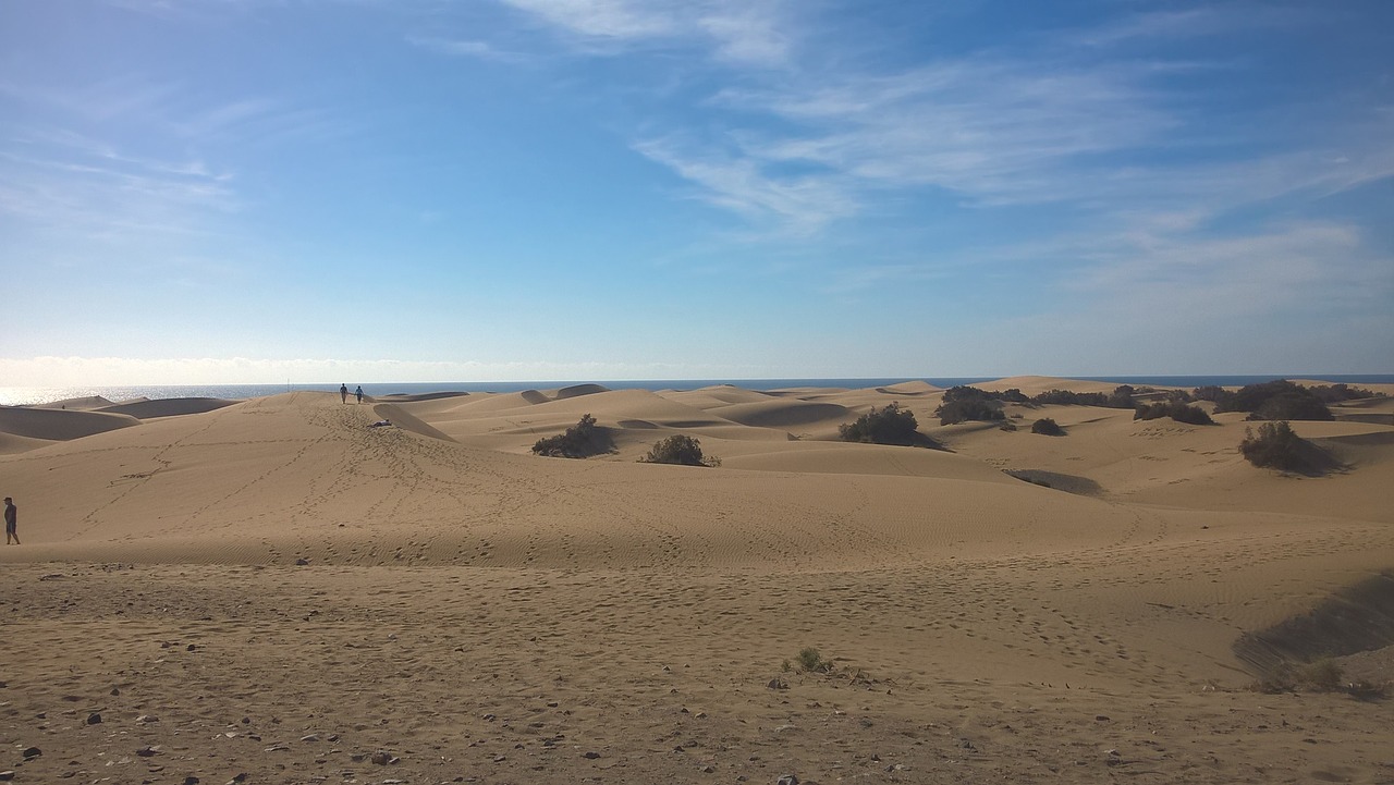 dunes sand beach free photo