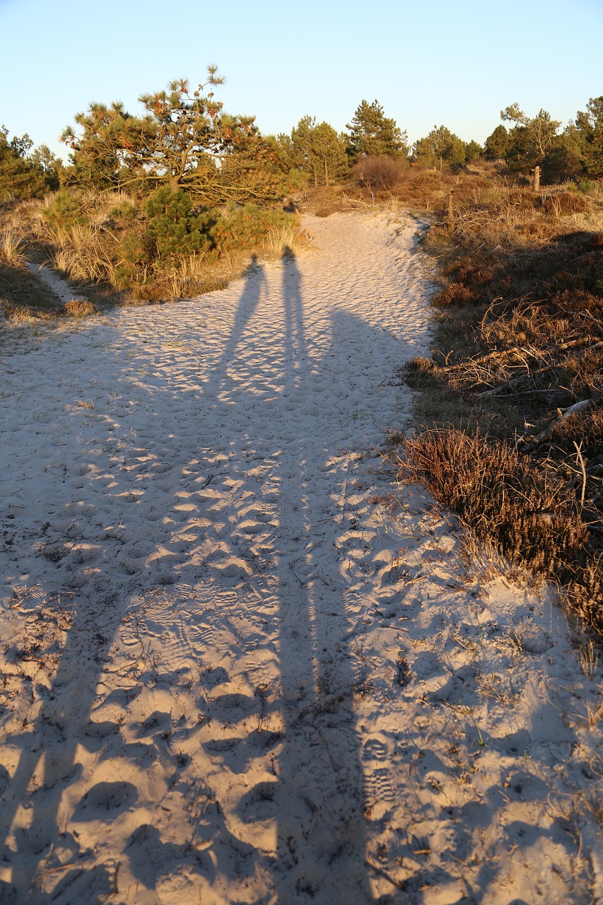 dunes sunset people free photo