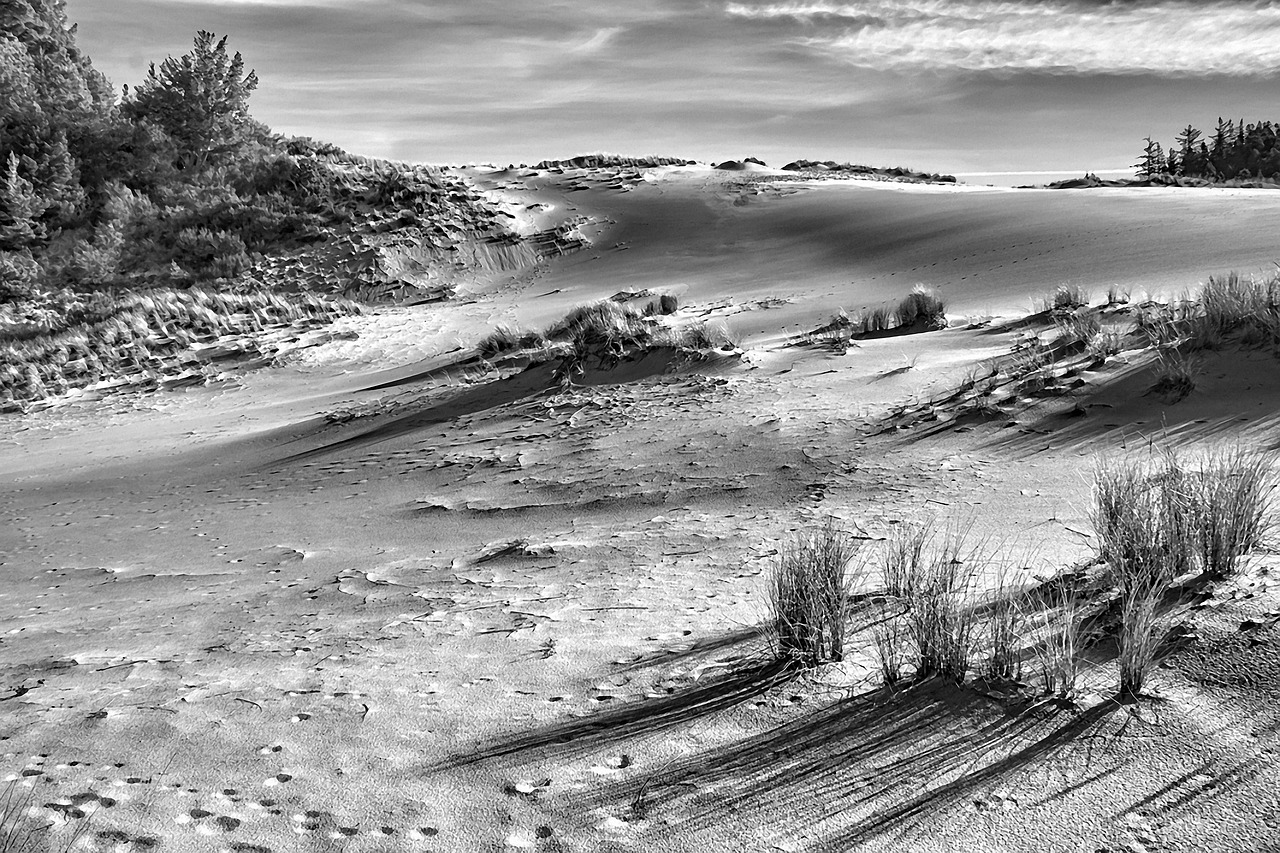 dunes sand sand dunes free photo
