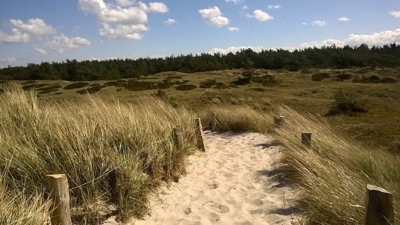 dunes away baltic sea free photo