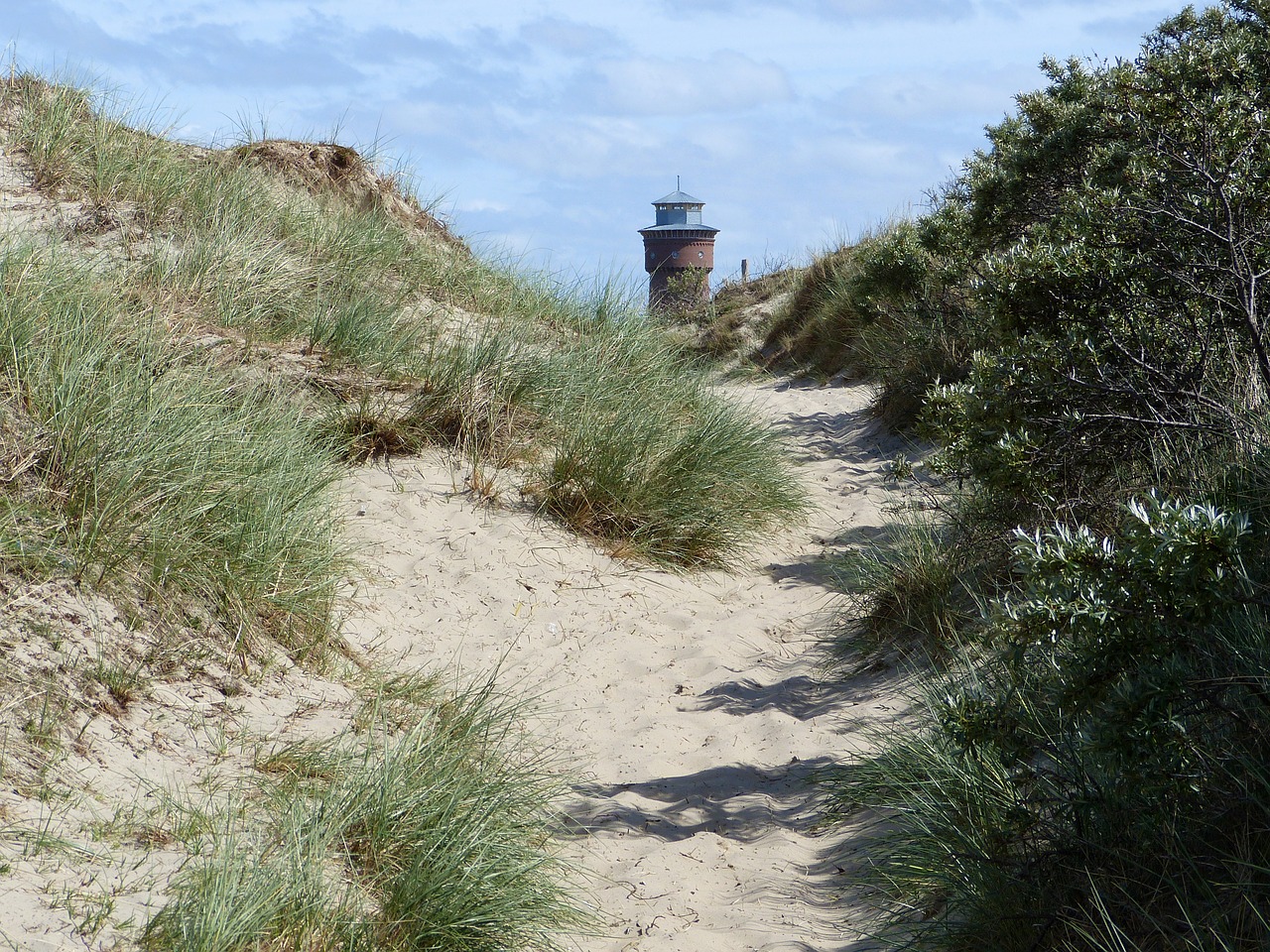 dunes beach north sea free photo