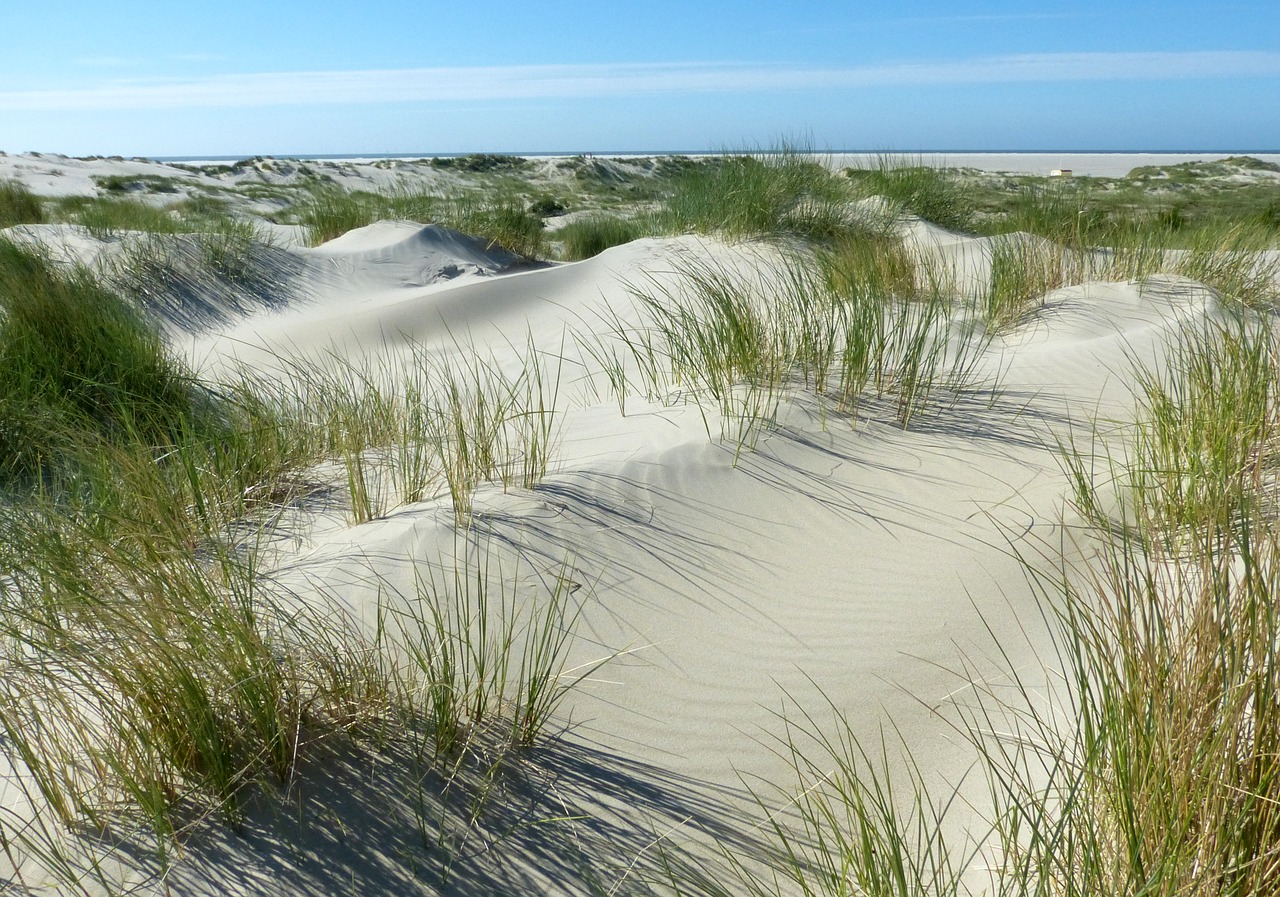 dunes beach north sea free photo