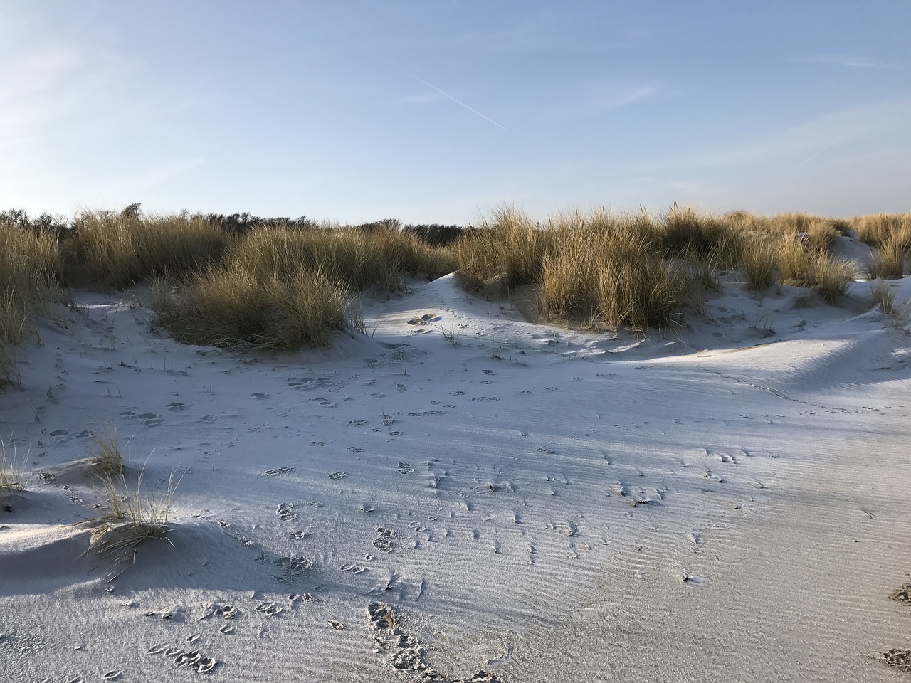 dunes air summer free photo