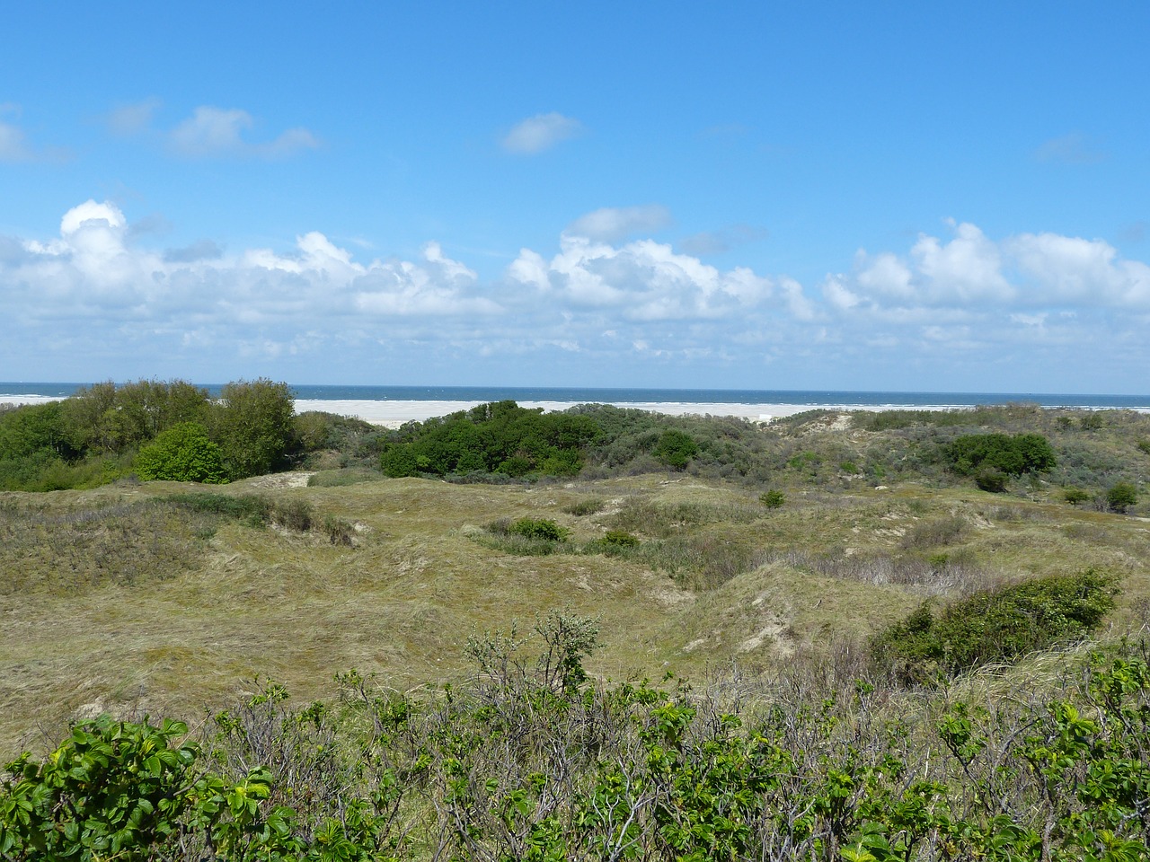 dunes borkum north sea free photo