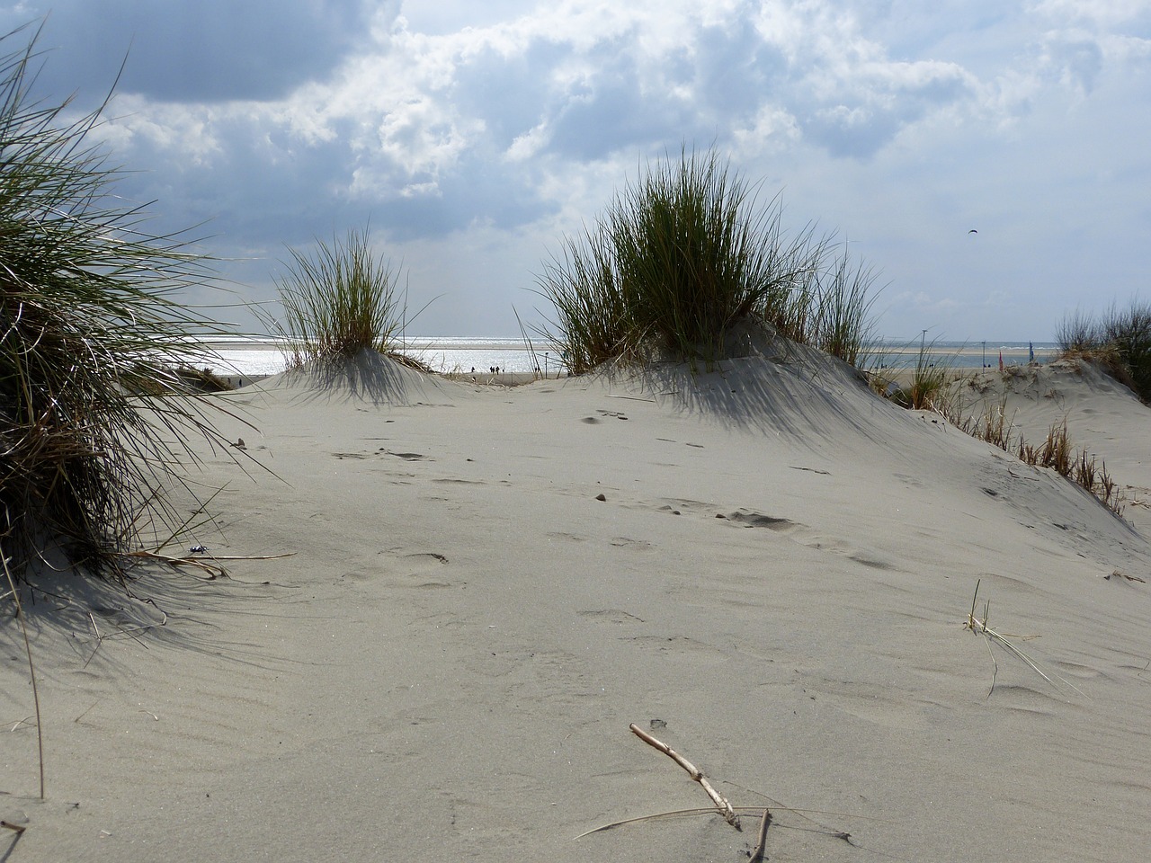 dunes sand borkum free photo