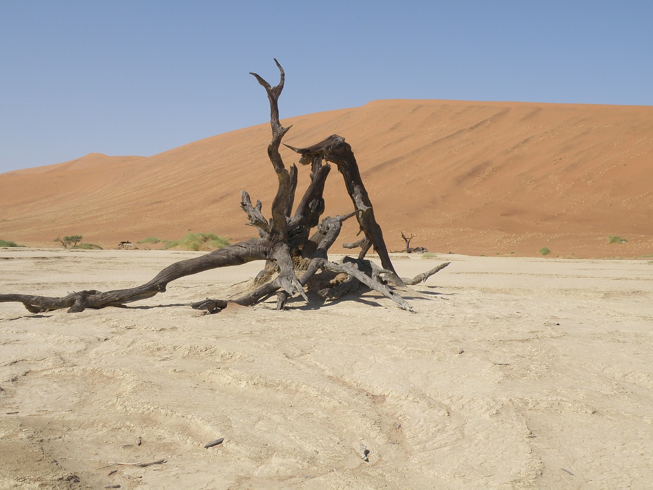 dunes namibia desert free photo