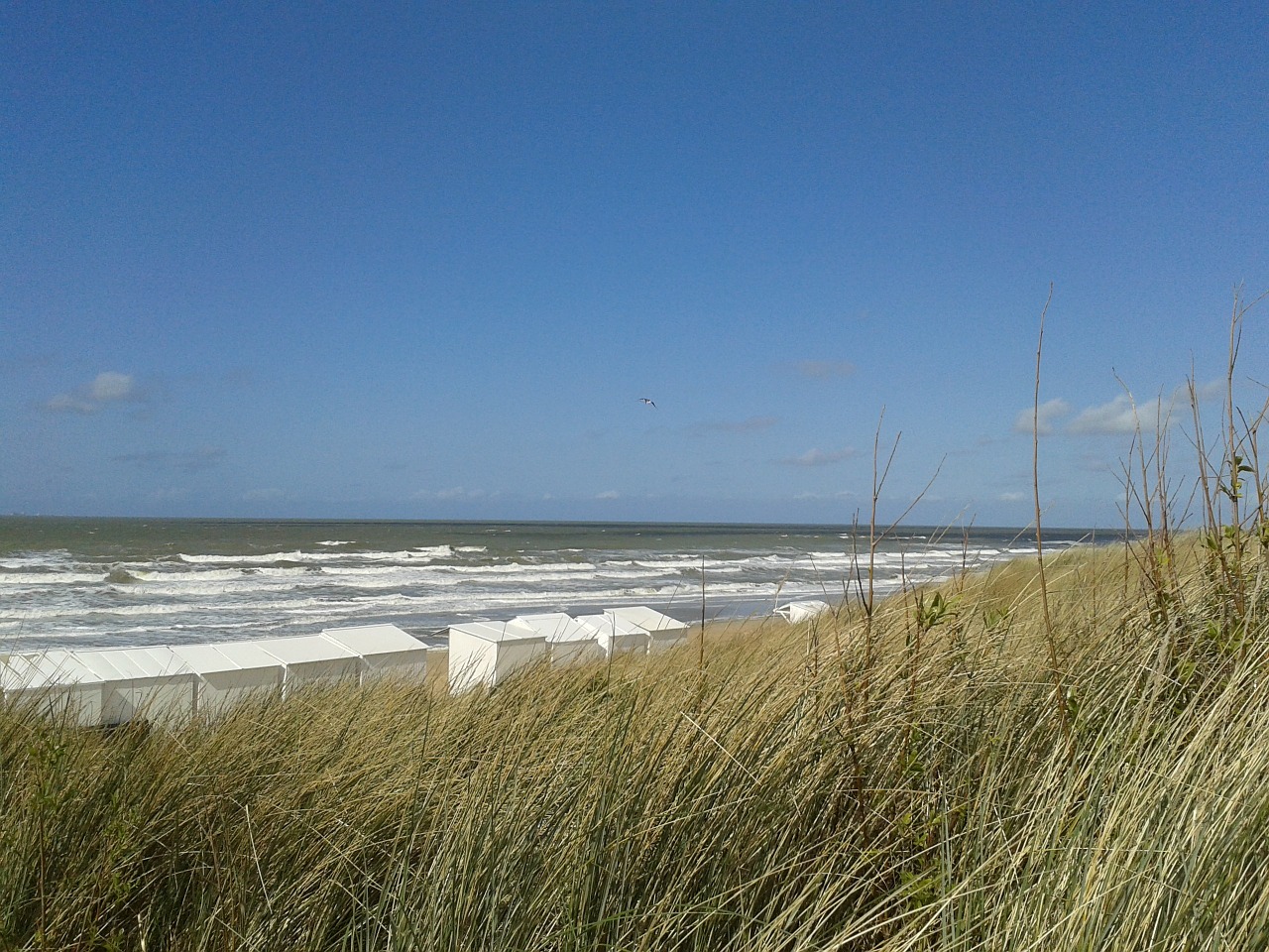 dunes dune sea free photo