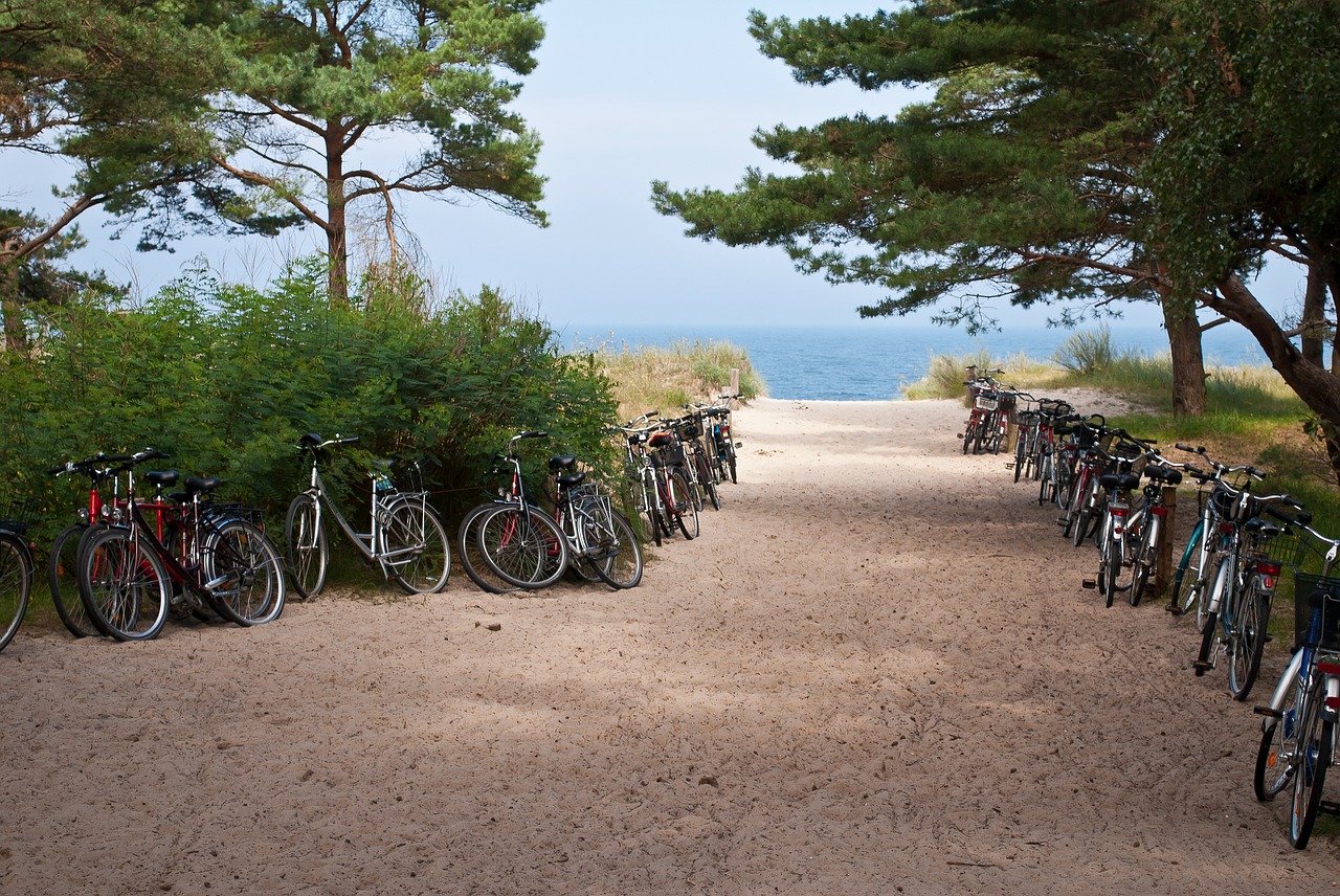 dunes beach access holiday free photo