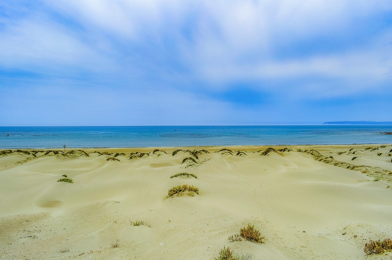 dunes  sand  sky free photo