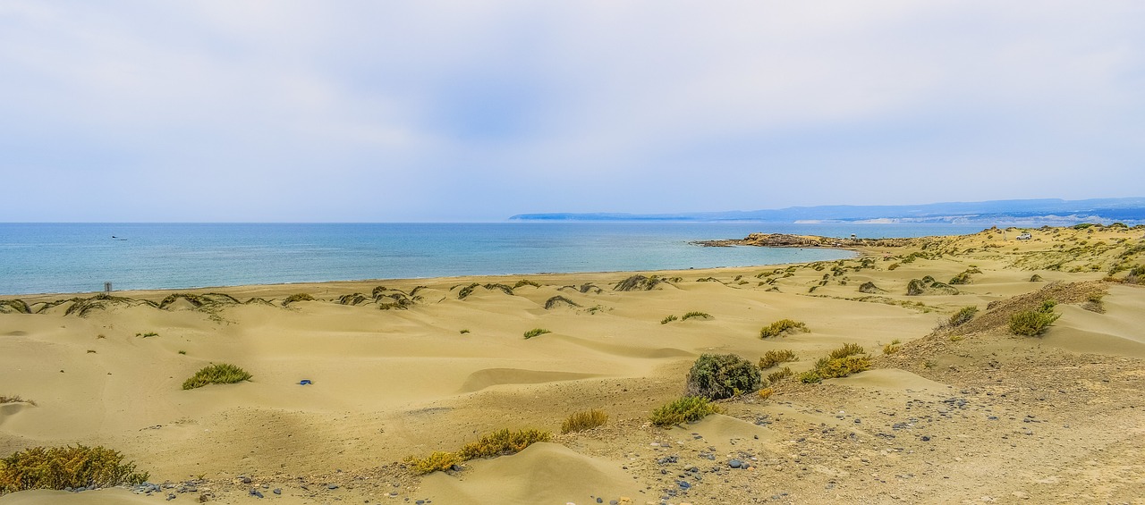 dunes  sand  sky free photo