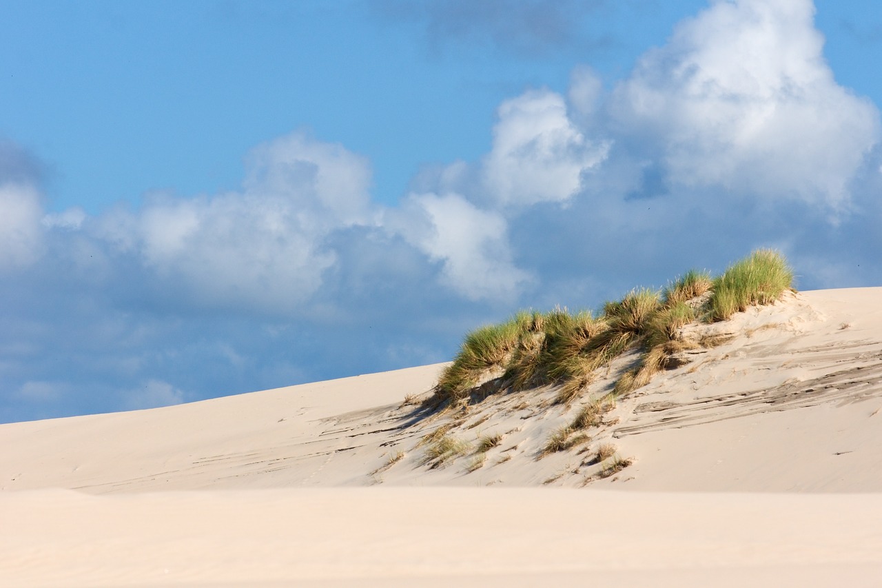 dunes  sand dunes  poland free photo