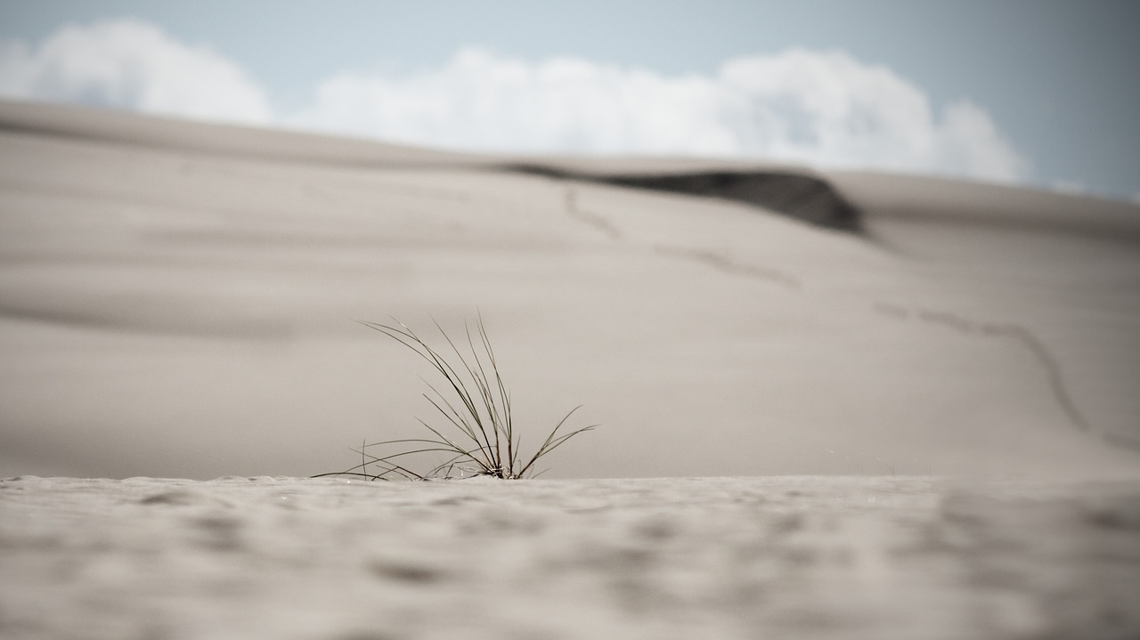 dunes  sand dunes  poland free photo