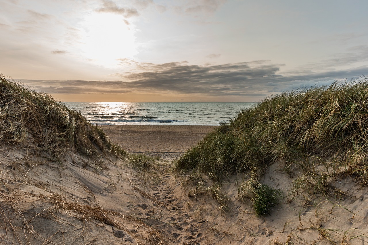 dunes  beach  north sea free photo