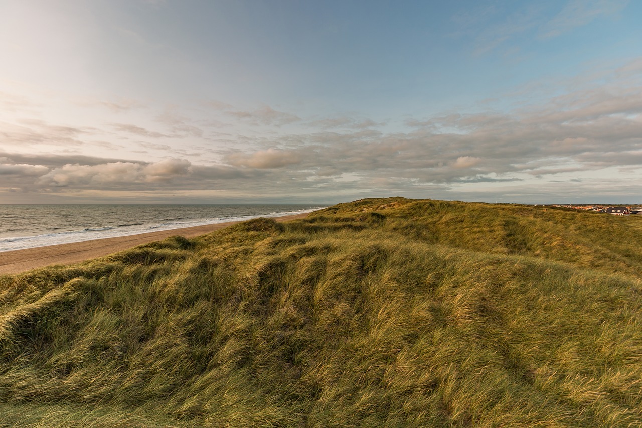 dunes  beach  north sea free photo
