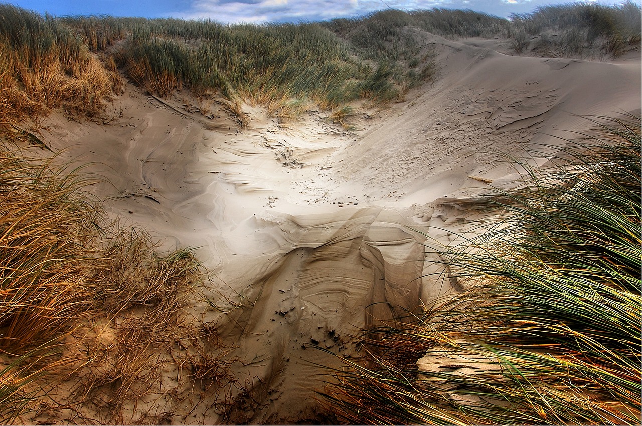 dunes  beach  sea free photo