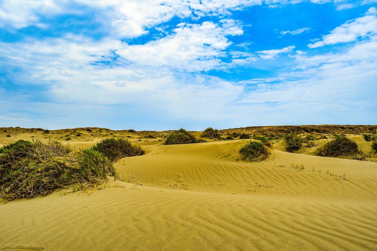 dunes  sand  sky free photo