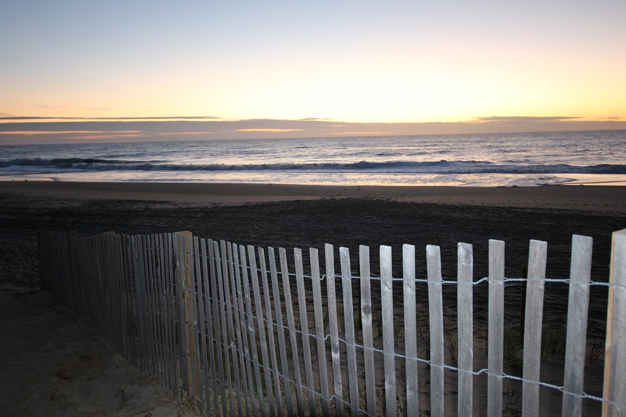 dunes  beach  ocean free photo