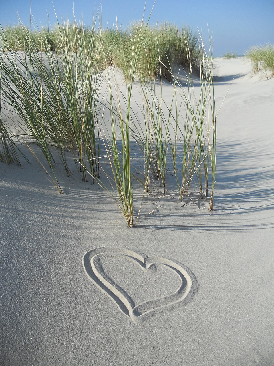 dunes  sand  heart free photo