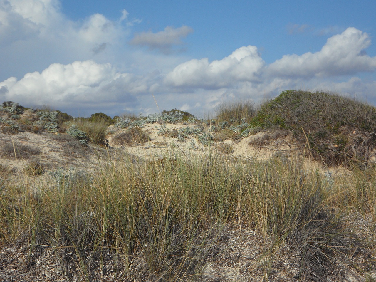 dunes dune landscape empty free photo