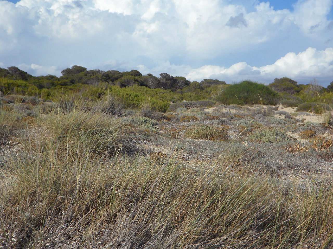 dunes dune landscape empty free photo