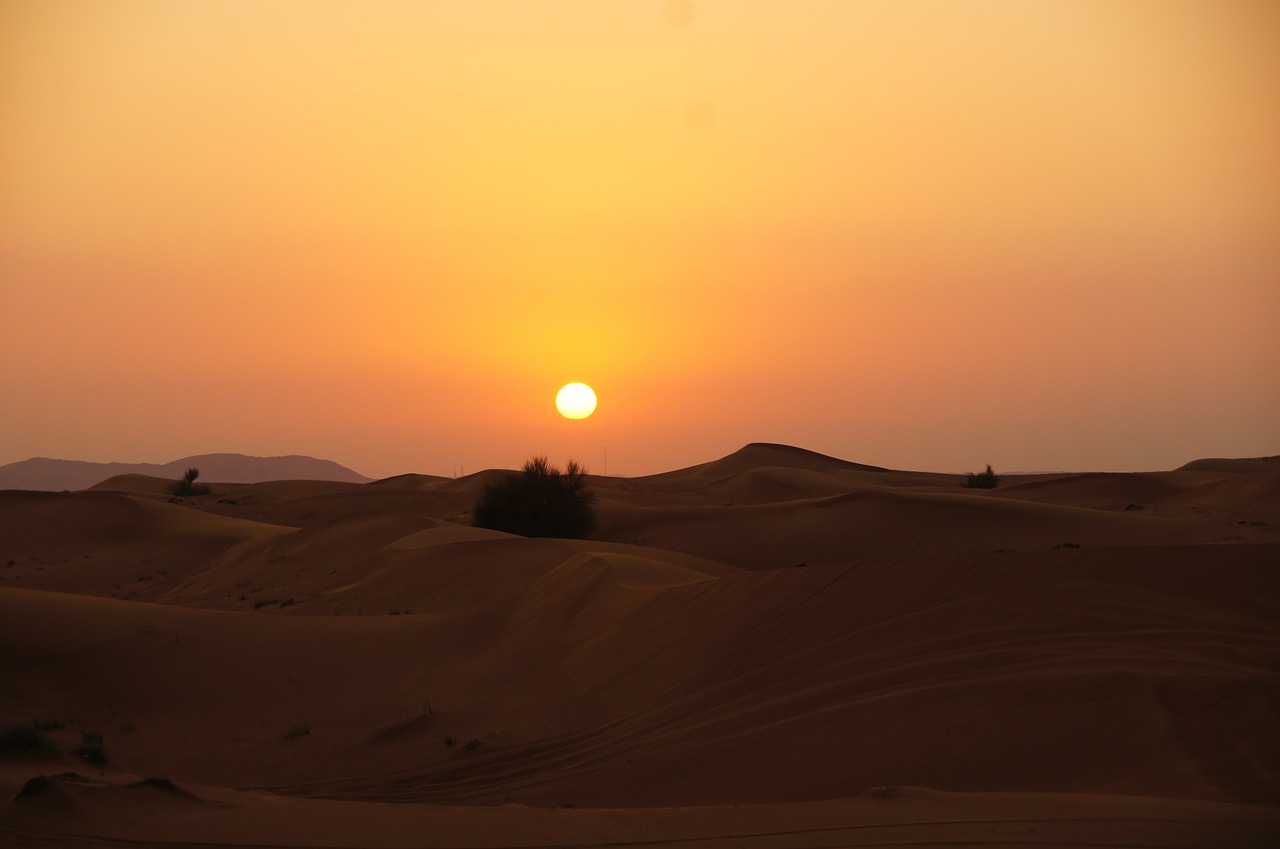 dunes sand dunes desert free photo