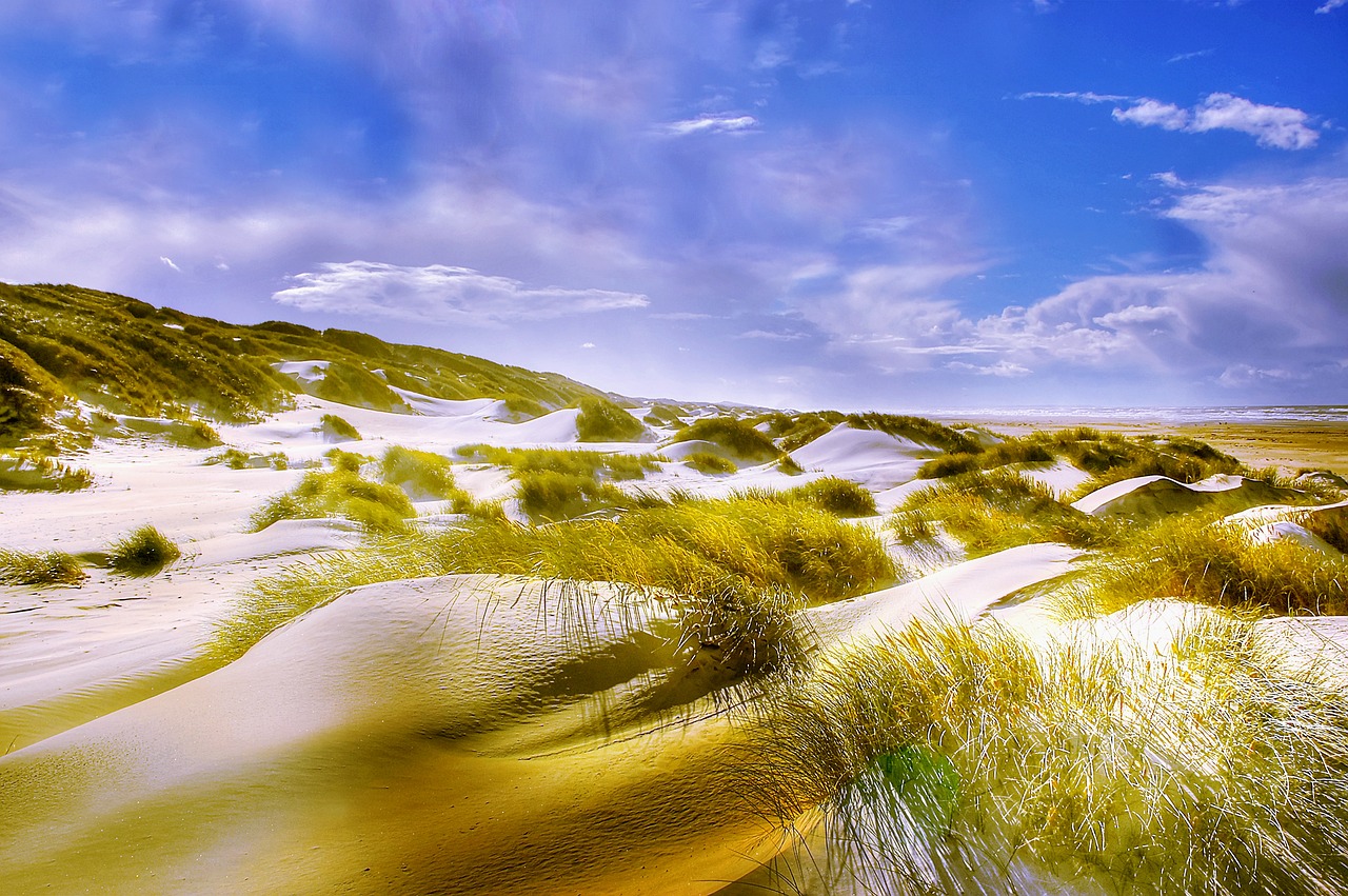 dunes  beach  north sea free photo