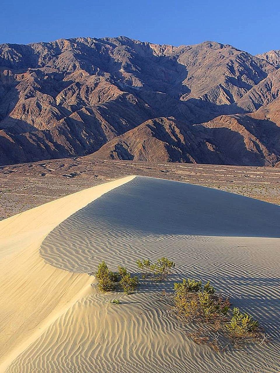 dunes sand landscapes free photo