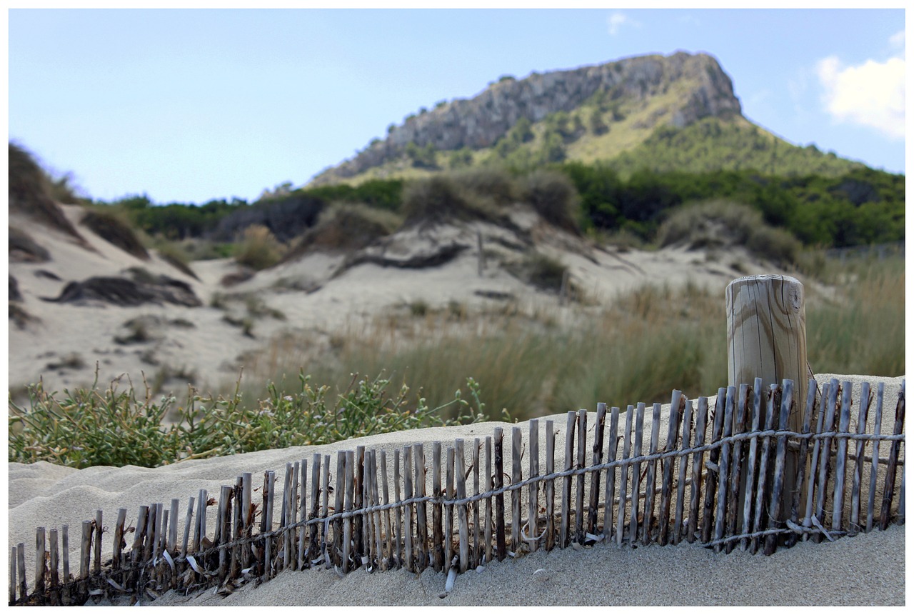 dunes sand fence free photo