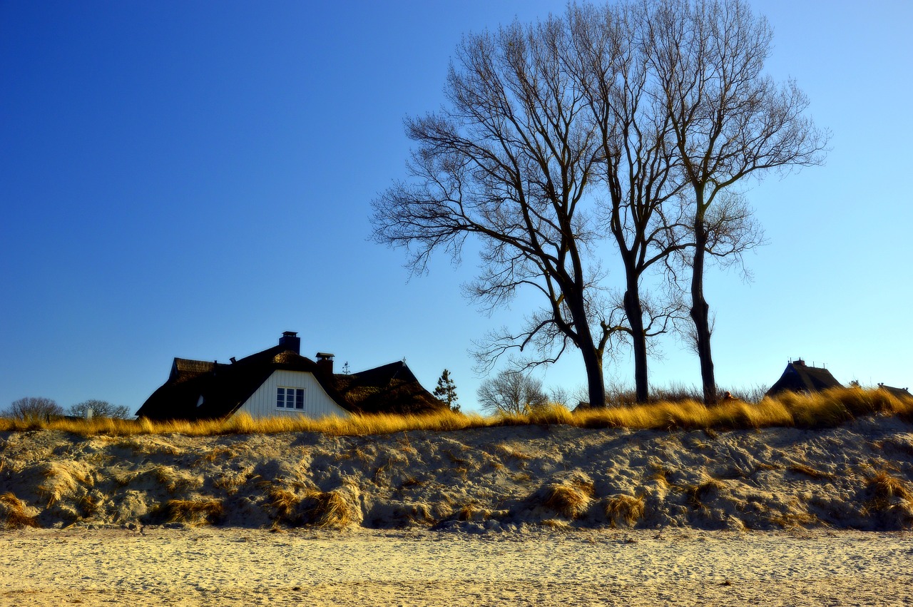 dunes  dune landscape  coast free photo