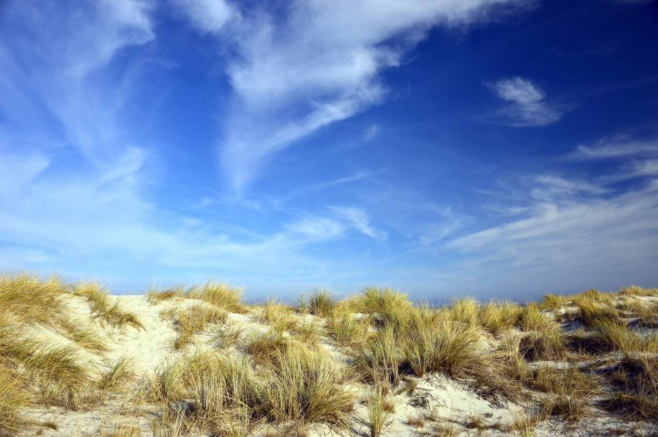 dunes  dune landscape  marram grass free photo
