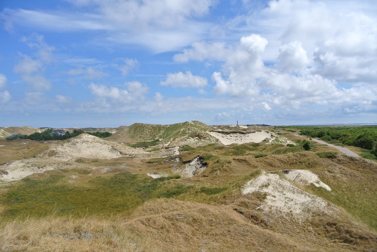 dunes  island  summer free photo