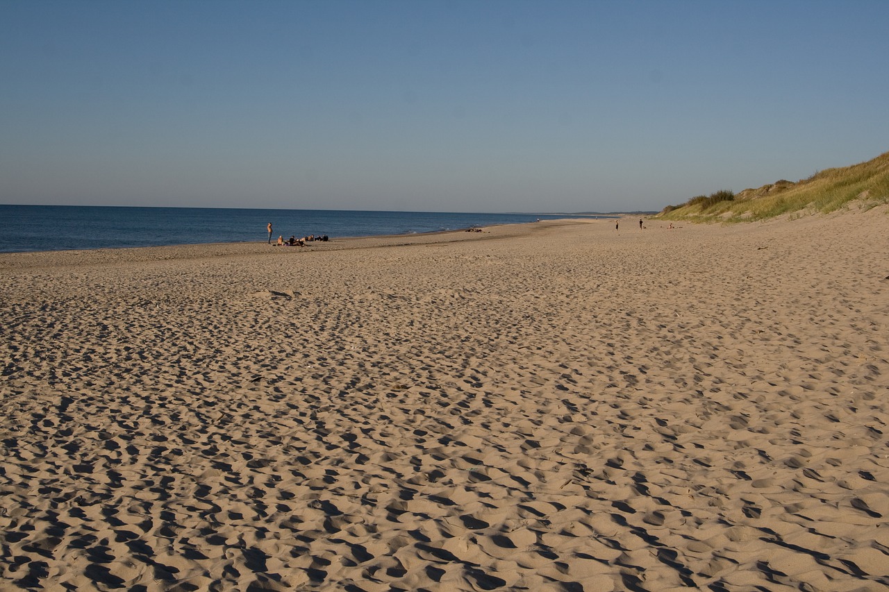 dunes  beach  sand free photo