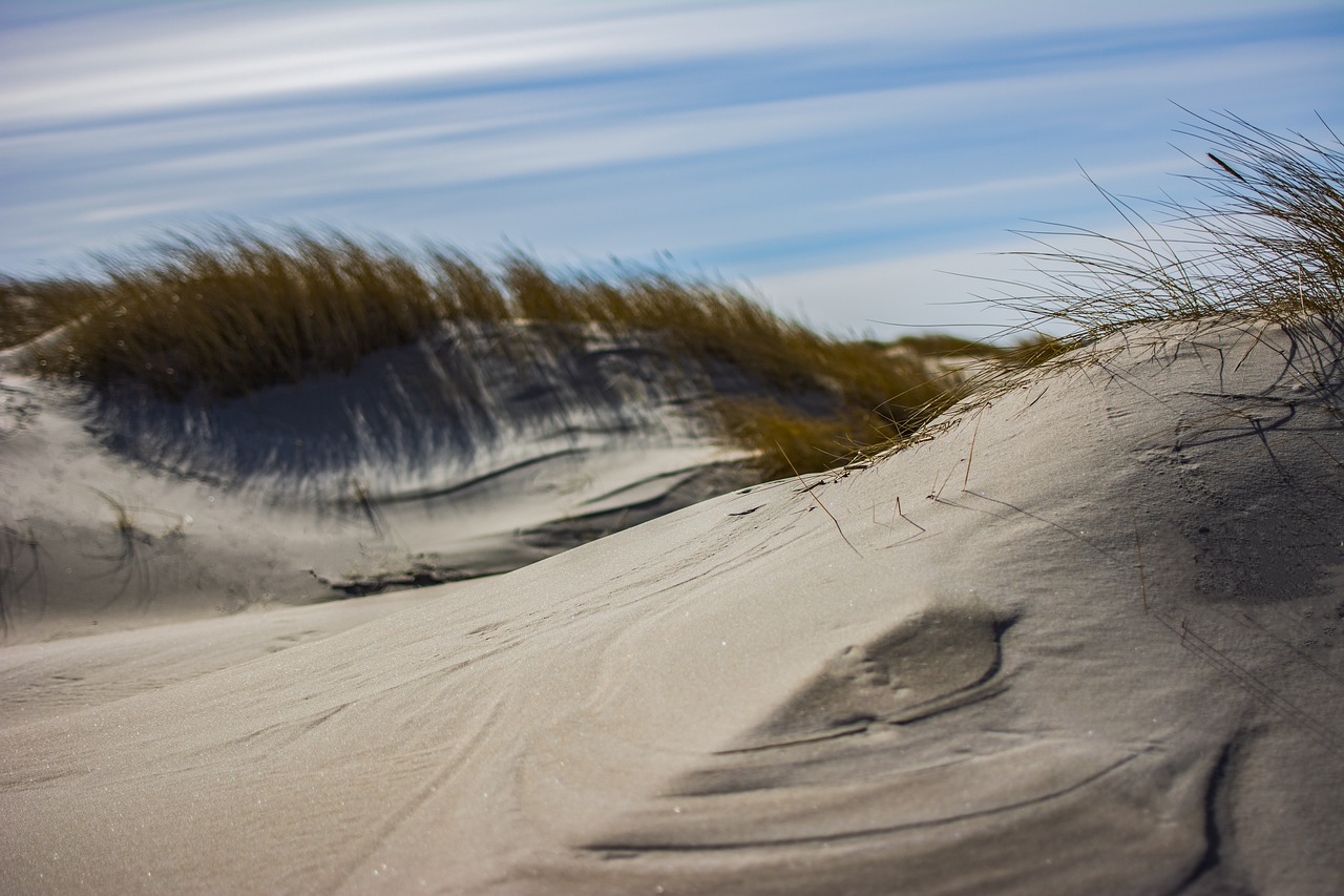 dunes  sand  desert free photo