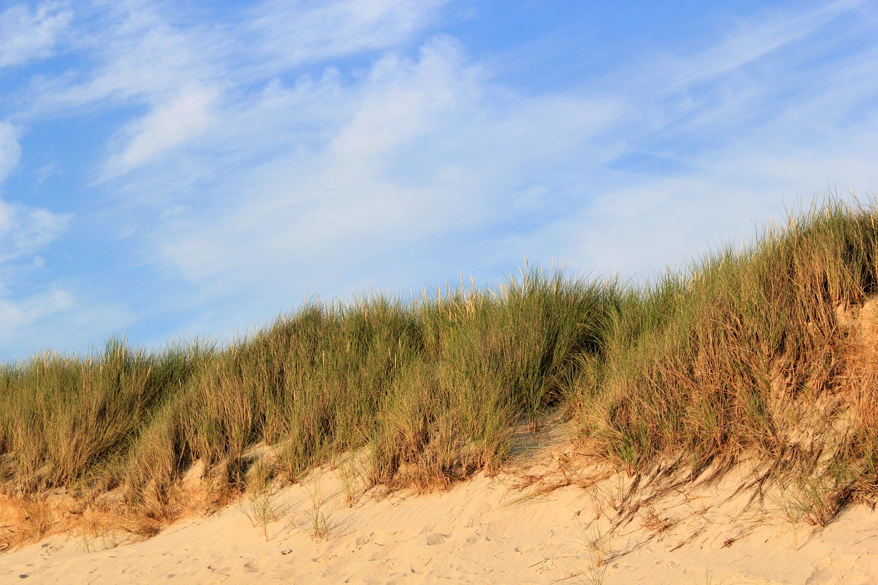 dunes sand sky free photo