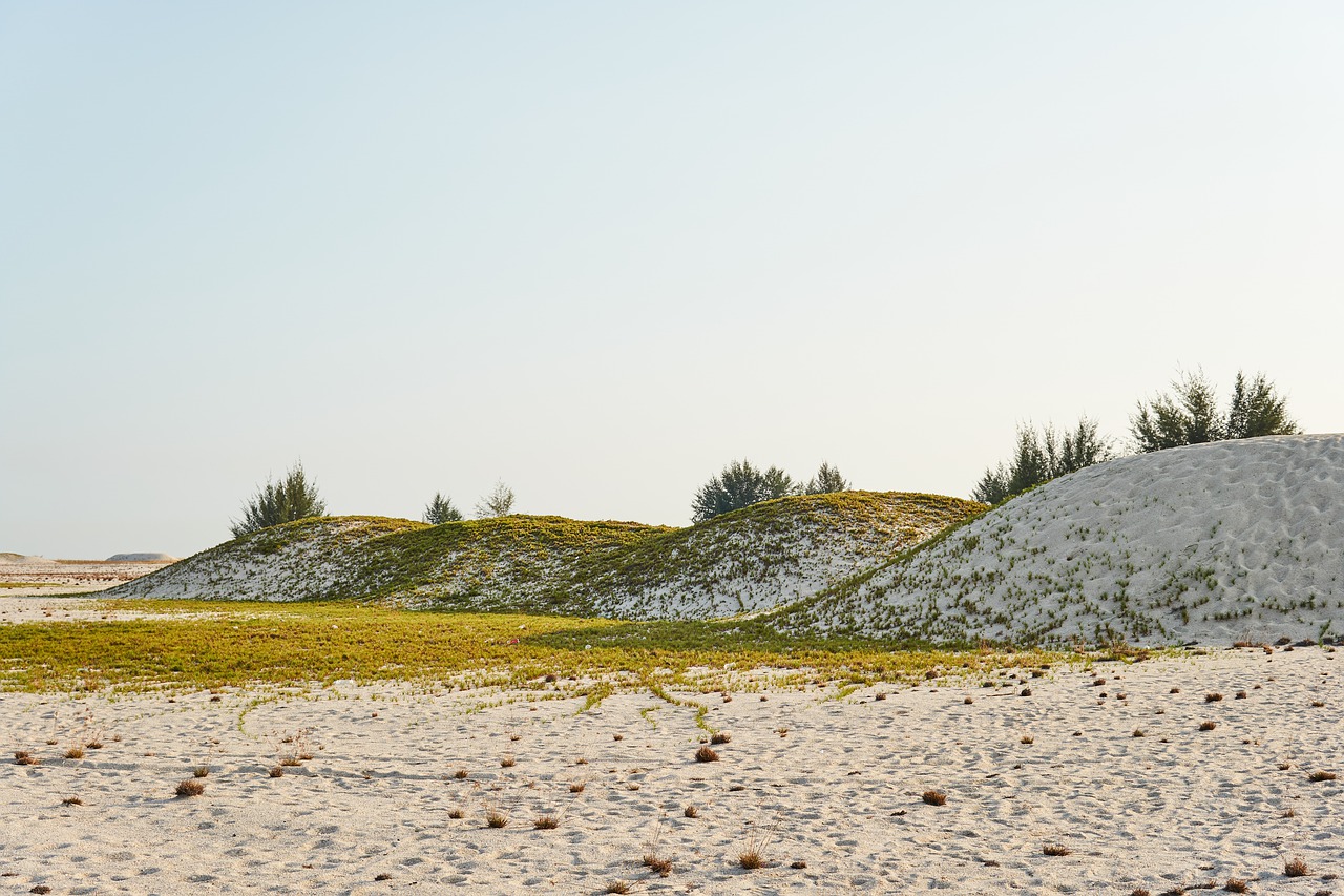 dunes  desert  sand free photo