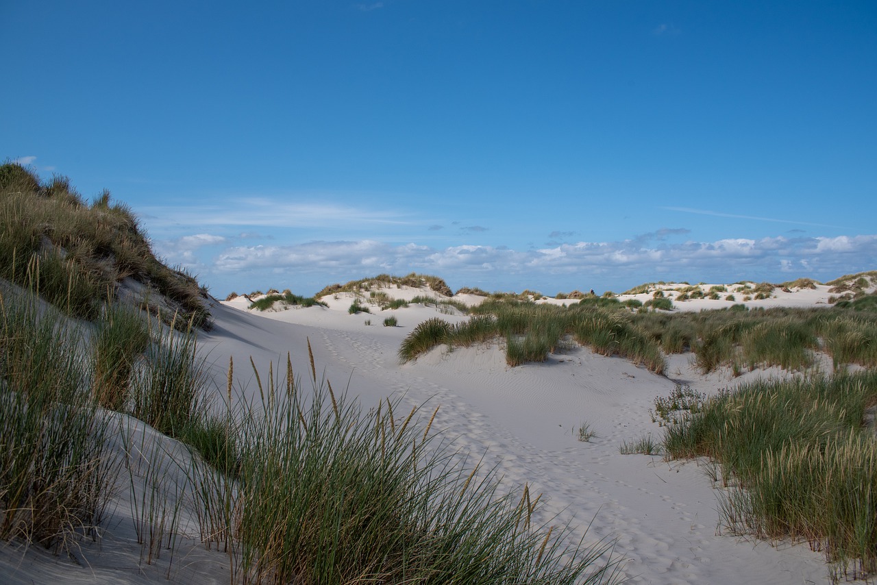 dunes  sand  landscape free photo